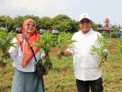 Pj Gubernur Lampung Ajak Masyarakat Berlibur di Wisata Eduksi Kebun PKK Agropark Sabah Balau