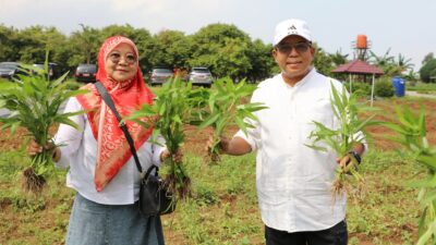 Pj Gubernur Lampung Ajak Masyarakat Berlibur di Wisata Eduksi Kebun PKK Agropark Sabah Balau