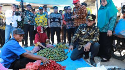 Pj Gubernur Lampung Sidak Pasar KTM Mesuji