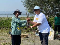 The Wujil Resort Ungkap Kerja Sama dengan LindungiHutan dan Perkembangan Mangrove Terkini