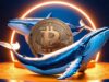 Bitcoin Whale Holdings Melonjak 813% di 2024, Apa Artinya Bagi Pasar Kripto?