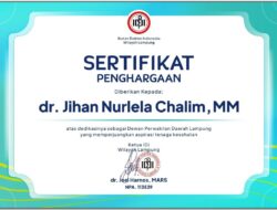 Mantap! Cawagub Lampung Jihan Nurlela Terima Penghargaan IDI Lampung atas Dedikasinya di Bidang Kesehatan