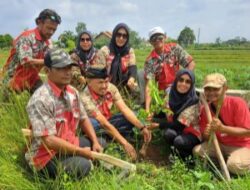 GML Metro Kembali Tanam Puluhan Pohon Penghijauan