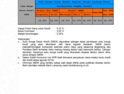 Ini Besaran Suku Bungan Dasar Kredit Bank Lampung Periode 30 September 2024