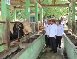 Pj Gubernur Samsudin Tinjau Sarana dan Prasarana Proses Produksi Straw