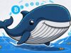 Strategi Manipulasi Pasar ala Whale Kripto yang Wajib Dipahami