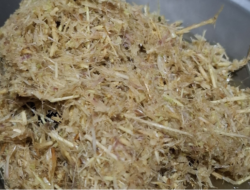 Inovasi Pertanian Berkelanjutan: Mahasiswa KKN Unila Olah Limbah Durian dan Gulma Menjadi Solusi