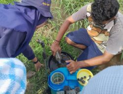 Mahasiswa KKN Desa Sumbersari adakan Sosialisasi dan Pemanfaatan Limba Kelapa Sawit Sebagai Pestisida