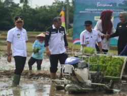 Pemprov Lampung Tancap Gas Hadapi Musim Tanam Padi Kedua Tahun 2025