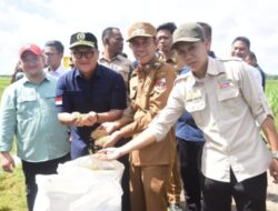 Ketua DPRD Lampung Ikuti Panen Raya di Lampung Tengah