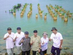Realisasikan Kesepakatan dengan Pelaku Usaha Budidaya, Gubernur Mirza Lakukan Penanaman Mangrove dan Pemasangan Appostrap di Pantai Pesisir Teluk Pandan, Pesawaran