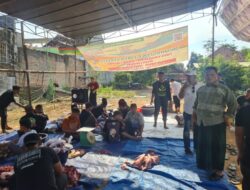 Idul Adha 2025, Yayasan Ponpes Darul Amal,Berbagi Hewan Kurban Sapi