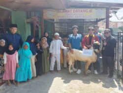 Kampus UTI Salurkan Hewan Kurban