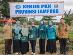 TP. PKK Provinsi Lampung Dorong Pemanfaatan Pekarangan Rumah untuk Ketahanan Pangan Keluarga