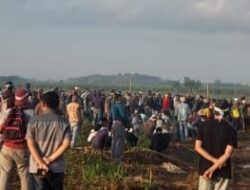 Konflik Lahan di Lampung Tengah Memanas! Warga Tiga Kampung Duduki Lahan Sawit PT BSA
