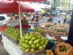 Pedagang Buah di Lampung Sukses Kembangkan Usaha Berkat KUR BRI