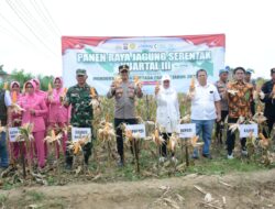 Dukung Swasembada Pangan Tahun 2025  Pemkab Lamteng Gelar Panen Raya Jagung