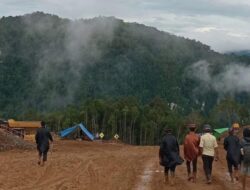 Ironinya, Nikel Milik Indonesia tapi Rantai Pasok Dikuasai China