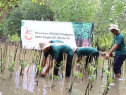 Peringati HUT ke 15, HKA Tol Bakter Tanam Seribu Bibit Mangrove di Wilayah Konservasi Desa Way Lubuk, Lampung Selatan