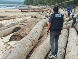 Gubernur Lampung : Kayu Terdampar Berasal dari Kapal Tongkang dan Seluruh Proses Sudah Ditindaklanjuti