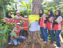 GML Gaungkan Gerakan Bungkus Pohon Lindungi Hutan dan Alam