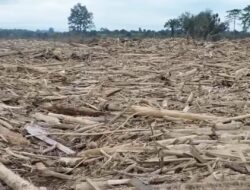 BNPB: Enam Jembatan Bailey di Aceh Rampung, Pembangunan 12 Titik Lain Dipercepat