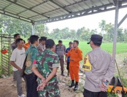 Basarnas Cari Lansia Hilang di Kebun Gadingrejo Pringsewu
