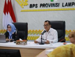 BPS Lampung: Pengangguran Turun, Serapan Tenaga Kerja Meningkat pada Februari 2026