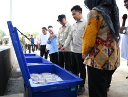 Pastikan Fasilitas Kawasan Nelayan Terintregasi, Wapres Tinjau KNMP Desa Margasari