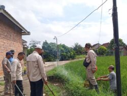 Koordinator Penyuluh Bersama Kelompok Tani Tirtomulyo Gotong – Royong Gropyokan Basmi Hama Tikus