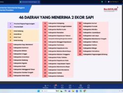 Pemprov Lampung Terima Sapi Kurban Bantuan Presiden untuk Iduladha 2026