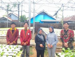 Mahasiswa Teknik Elektro UTI Kembangkan PLTS untuk Pertanian Hidroponik di Bandar Lampung