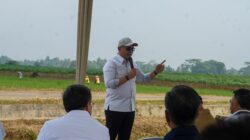 Lampung Dorong Investasi Energi Hijau, Proyek Bioetanol Siap Dikembangkan