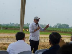 Lampung Dorong Investasi Energi Hijau, Proyek Bioetanol Siap Dikembangkan