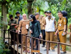 Bupati Nanda Tinjau  Infrastruktur Rusak, Dampak Banjir di 2 Kecamatan