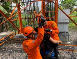 Tim SAR Gabungan Evakuasi Pria yang Naik Tower Telekomunikasi, Korban Selamat