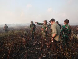 Gubernur Mirza Pastikan Penanganan Kebakaran di Braja Harjosari Terkendali, Tim Gabungan Cegah Api Masuk TN Way Kambas