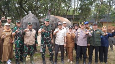 Pemprov Lampung dan TNI-Polri Perkuat Mitigasi TNWK, Lindungi Gajah dan Warga