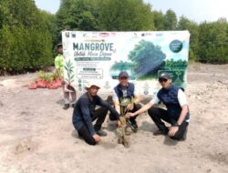 Bank Lampung Tanam 4.000 Mangrove di Lampung Selatan, Dukung Penguatan Ekosistem Pesisir