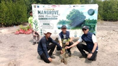 Bank Lampung Tanam 4.000 Mangrove di Lampung Selatan, Dukung Penguatan Ekosistem Pesisir