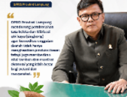 DPRD Lampung Dorong Singkong Lebih Bernilai, Petani Lebih Sejahtera