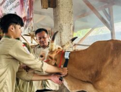 Dosen & Mahasiswa Terbaik Teknokrat,  Implementasikan StegoIoT untuk Bantu Sistem Peternakan Sapi Modern