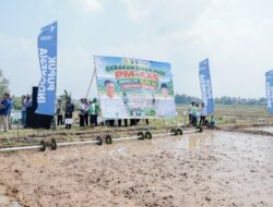 Pemprov Lampung Perkuat Pertanian Modern untuk Tingkatkan Produktivitas dan Pendapatan Petani