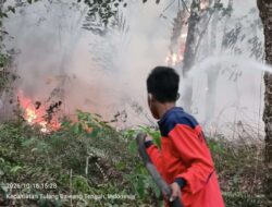 Dua Titik Karhutla di Tulang Bawang dan Lamteng Terkendali, BPBD Sampaikan Pesan Gubernur: Tingkatkan Kewaspadaan Karhutla