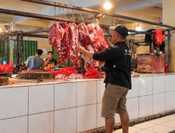14 Tahun Menekuni Usaha Daging Sapi, Suryana Terus Bertumbuh Bersama BRI Unit Kedaton