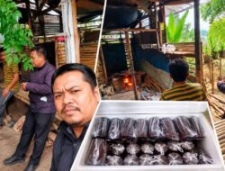Mengolah Nira Menjadi Peluang Usaha, Budiono Kembangkan Industri Gula Aren Alami Bersama BRI Unit Kedaton